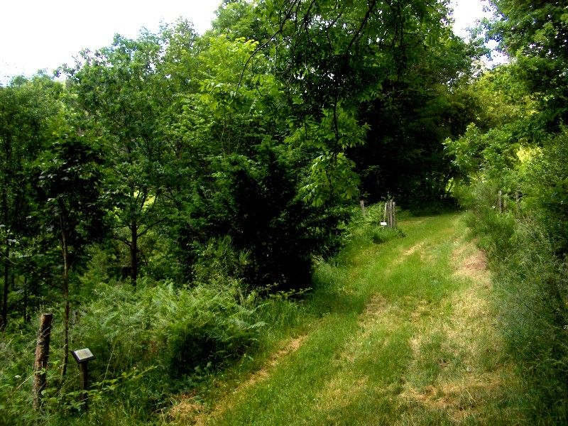 Arboretum-Fresse-sur-Moselle-2.jpg